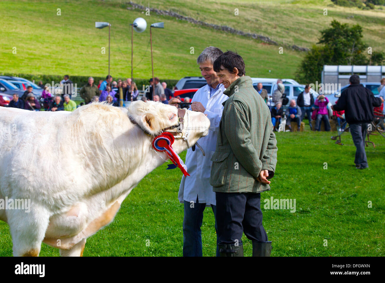 Rory Stewart membro conservatore del Parlamento per Penrith e al confine con il toro e il suo proprietario a Hesket Newmarket Visualizza Foto Stock