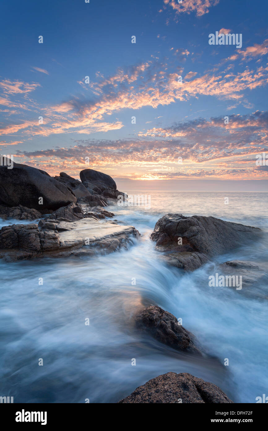 Estate alba alla testa di Peninnis, St Mary Isole Scilly Foto Stock