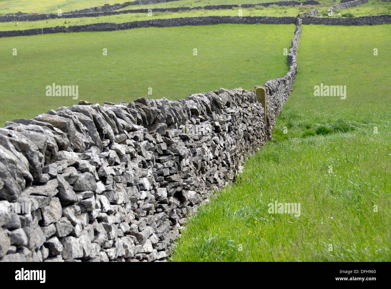 In pietra a secco parete che divide i campi su Pennine Way nello Yorkshire Regno Unito Foto Stock