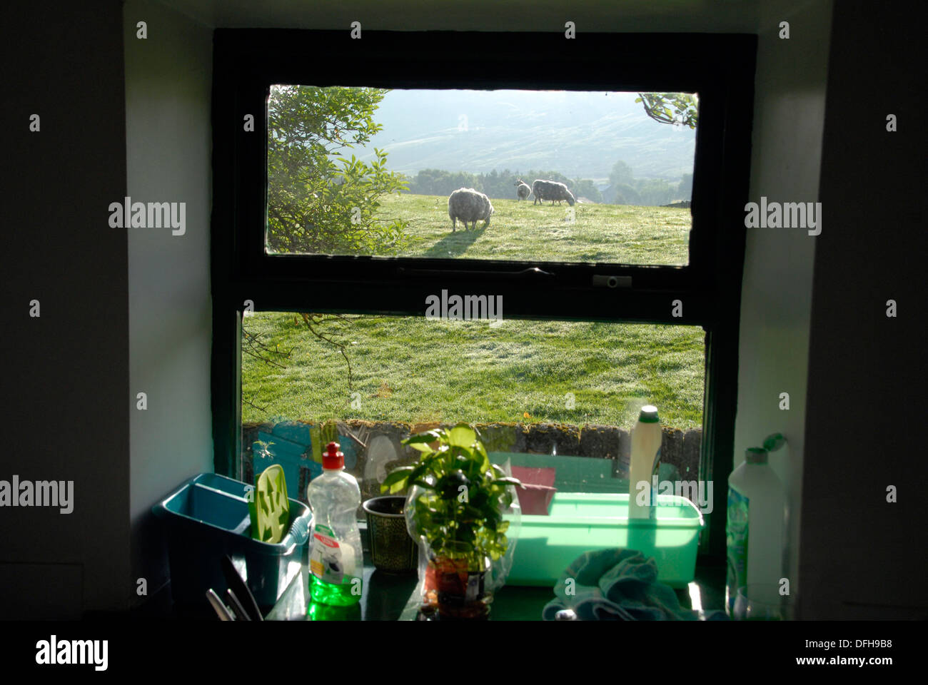 Vista attraverso una finestra rural Yorkshire, Regno Unito Foto Stock