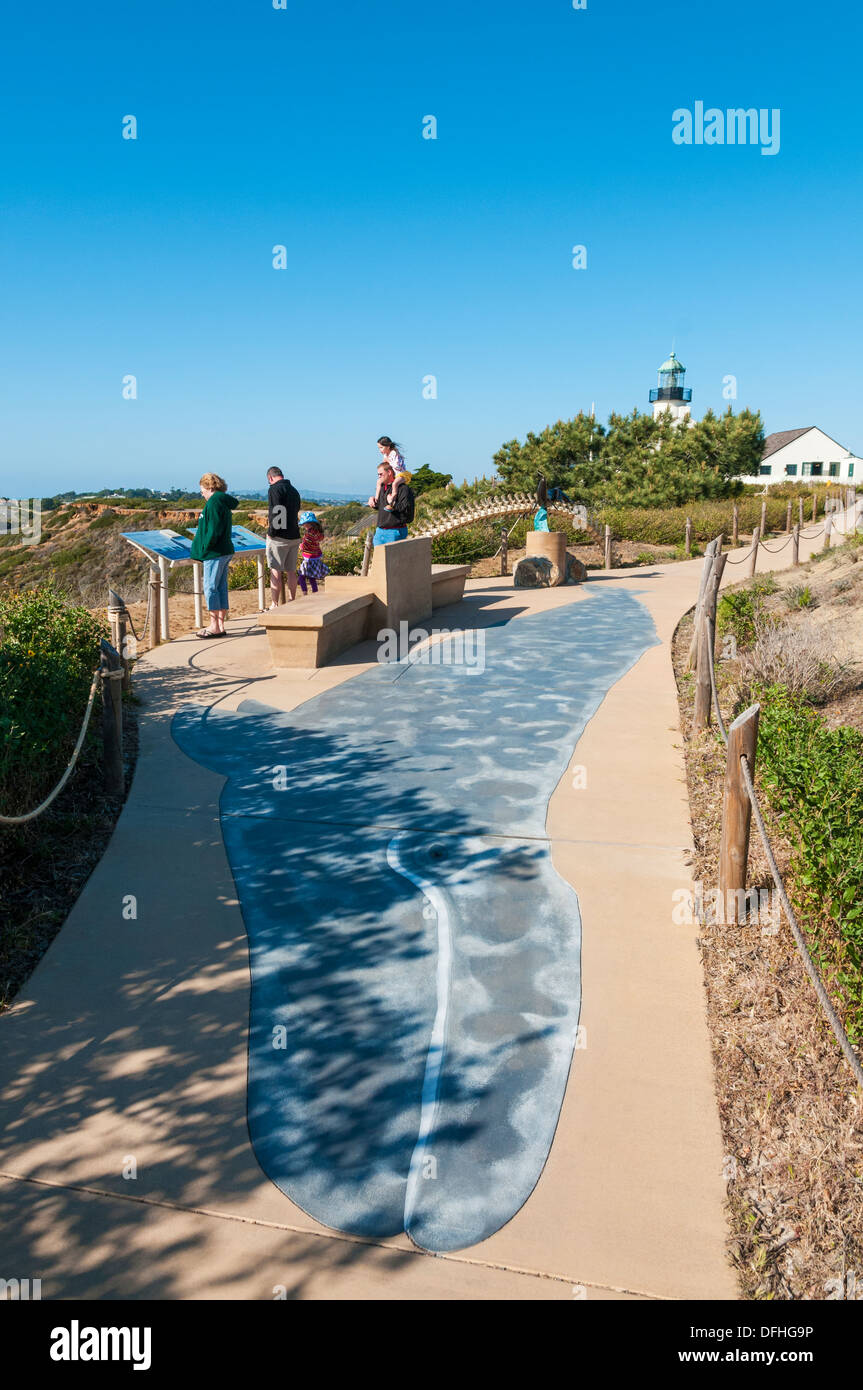 California, San Diego, Point Loma, balena grigia (Eschrichtius robustus) design sul marciapiede alla rotta di migrazione di area di visualizzazione Foto Stock