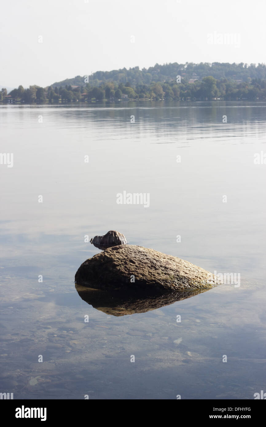 Rocce nel Lago di Monate, Varese, Italia Foto Stock