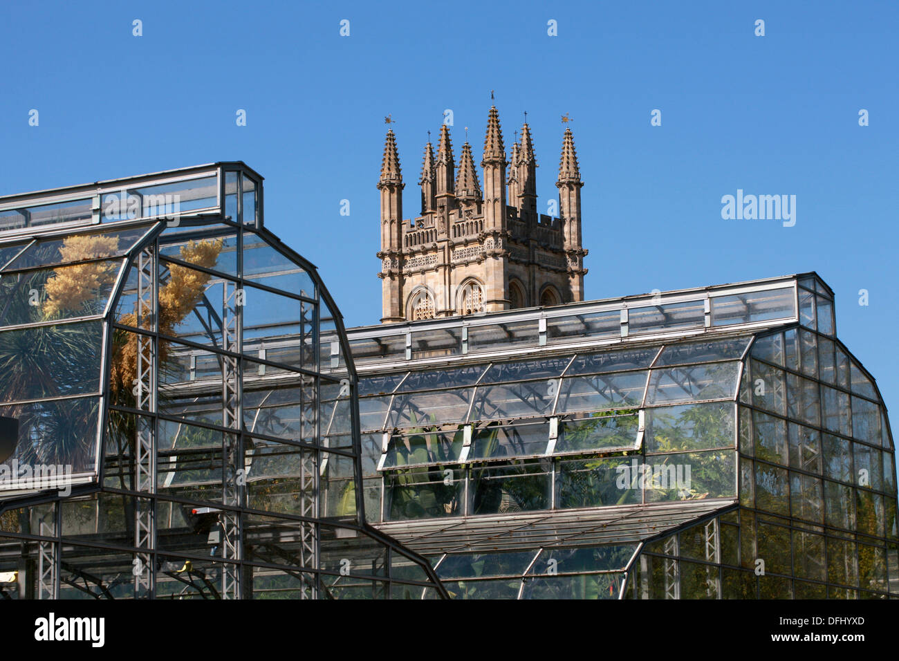 Oxford Giardini Botanici di serre e di Magdalen College in background, Università di Oxford, Oxford, Oxfordshire, Regno Unito Foto Stock