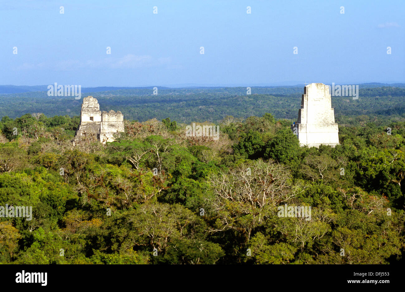 La vista dal Tempio IV rivela tempio III (in primo piano) e templi I e II nella distanza a Tikal, Guatemala. Foto Stock