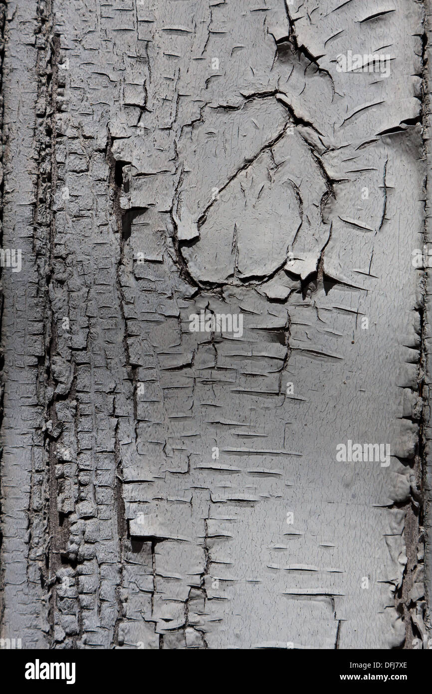 Vernice della sbucciatura Foto Stock