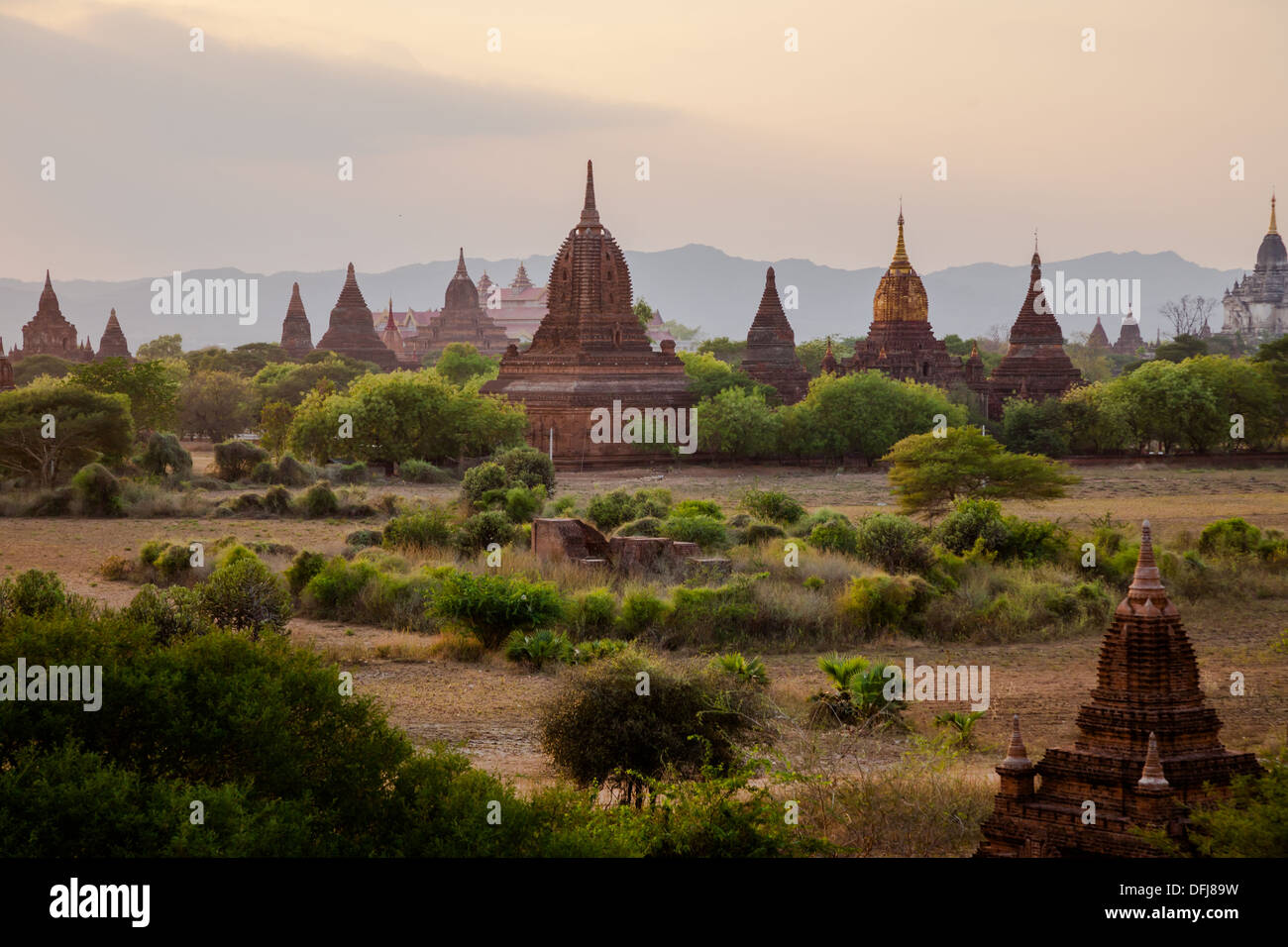 I templi e pagode di Bagan. Myanmar. Foto Stock