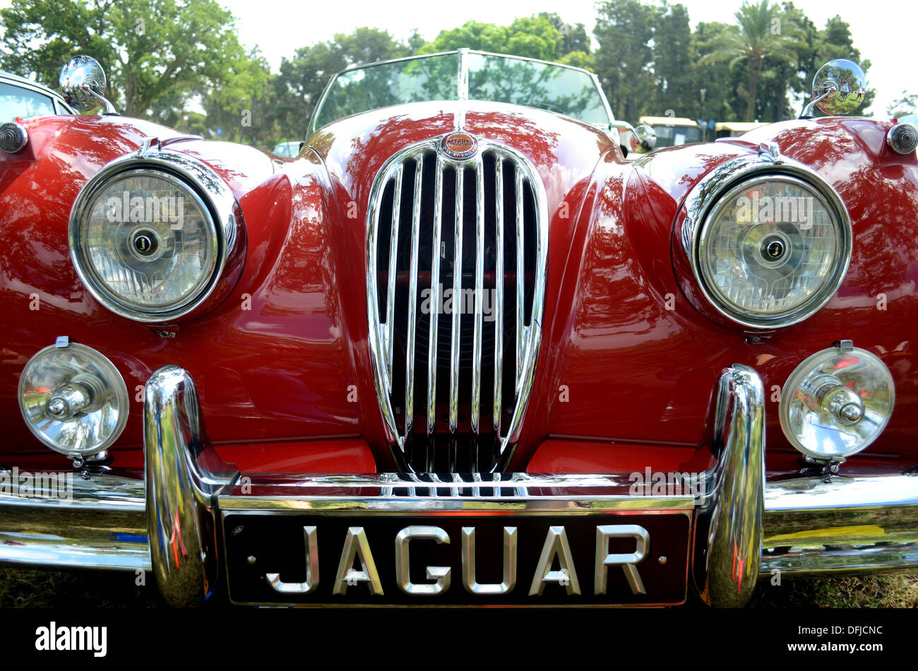 Jaguar Classic Car Logo Foto Stock