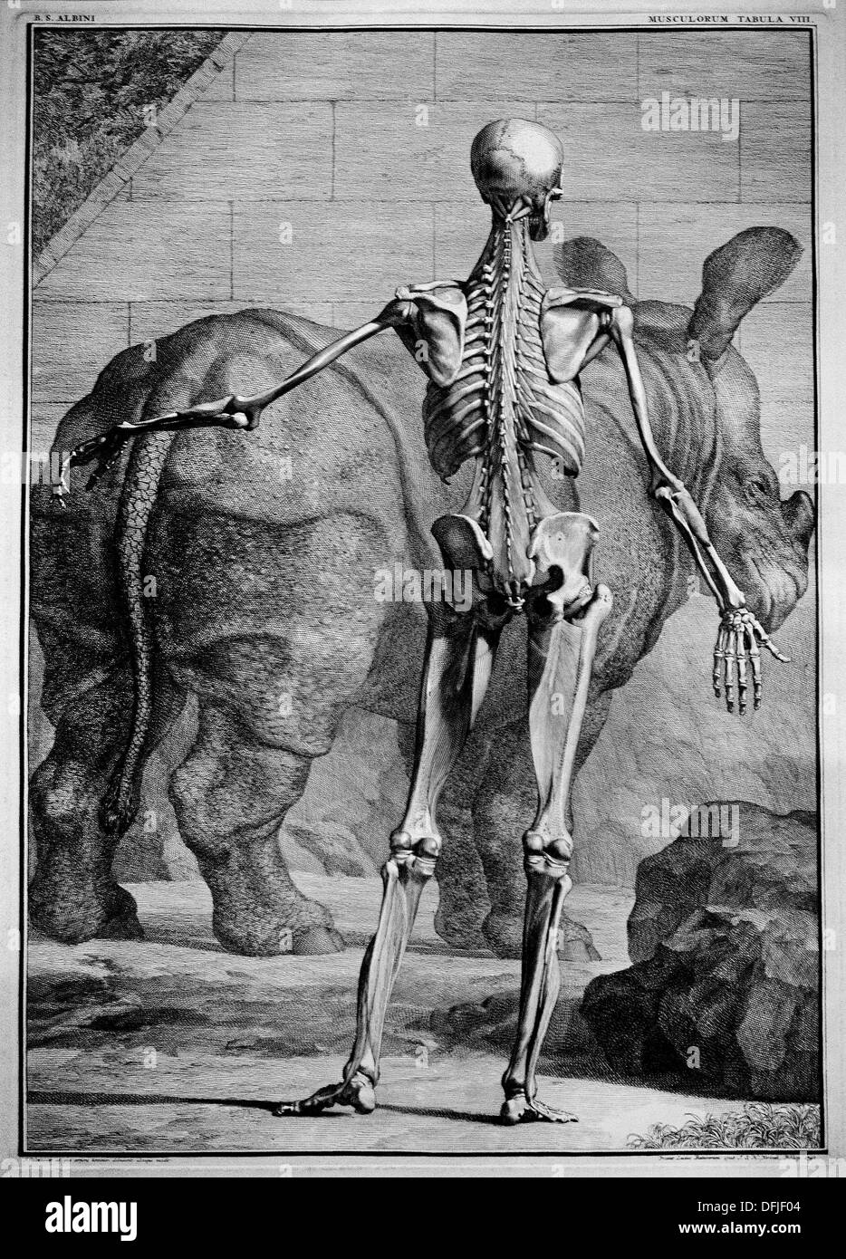 Museo di Pittura Olandese Olandese Foto Stock