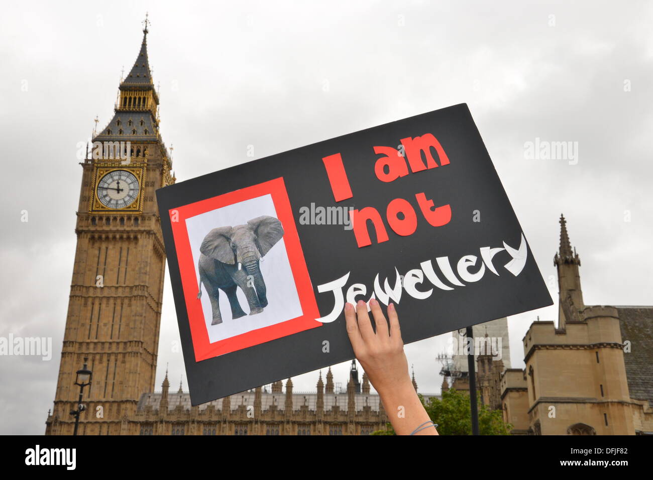 Londra REGNO UNITO, 4 Ott 2013 : centinaia di manifestanti marzo a Piazza del Parlamento, invitando il governo a sostenere un divieto a livello mondiale su avorio. I dimostranti hanno sollevato il problema di un elefante che viene ucciso ogni quindici minuti per alimentare il traffico illegale di commercio di avorio. Vedere Li / Alamy Live News Foto Stock