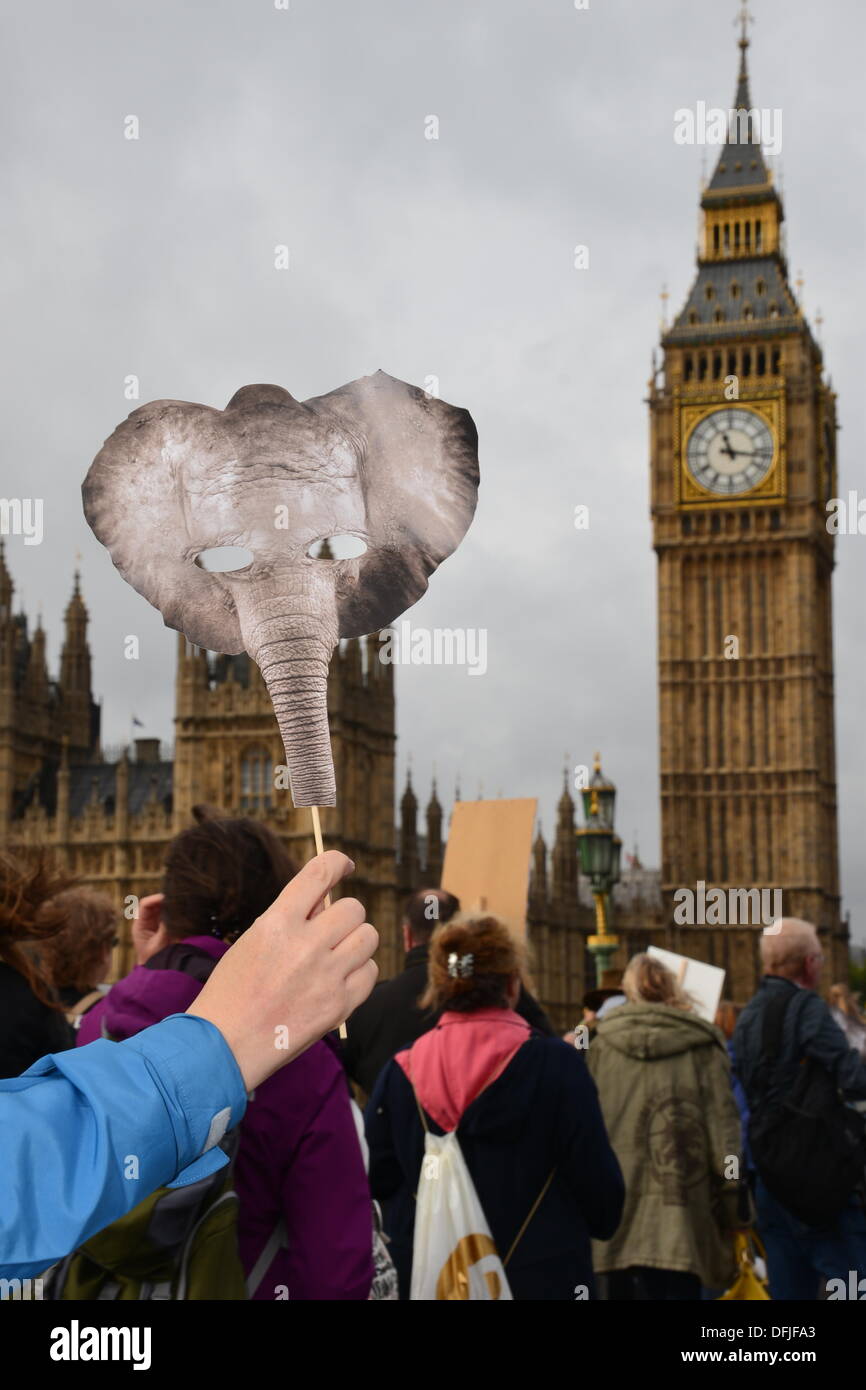 Londra REGNO UNITO, 4 Ott 2013 : centinaia di manifestanti marzo a Piazza del Parlamento, invitando il governo a sostenere un divieto a livello mondiale su avorio. I dimostranti hanno sollevato il problema di un elefante che viene ucciso ogni quindici minuti per alimentare il traffico illegale di commercio di avorio. Vedere Li / Alamy, live news Foto Stock