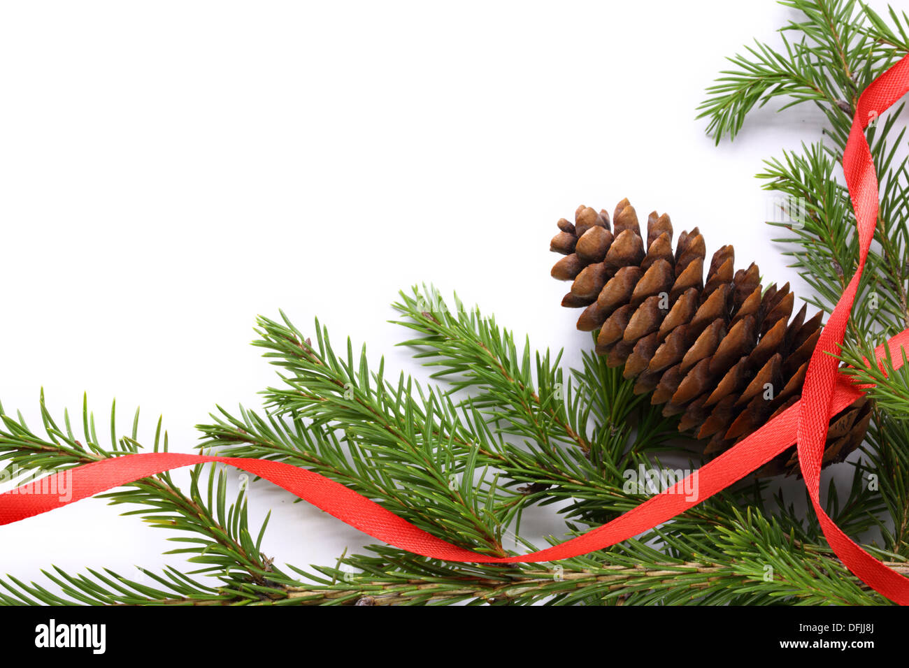 Sfondo con abete e cono Foto Stock