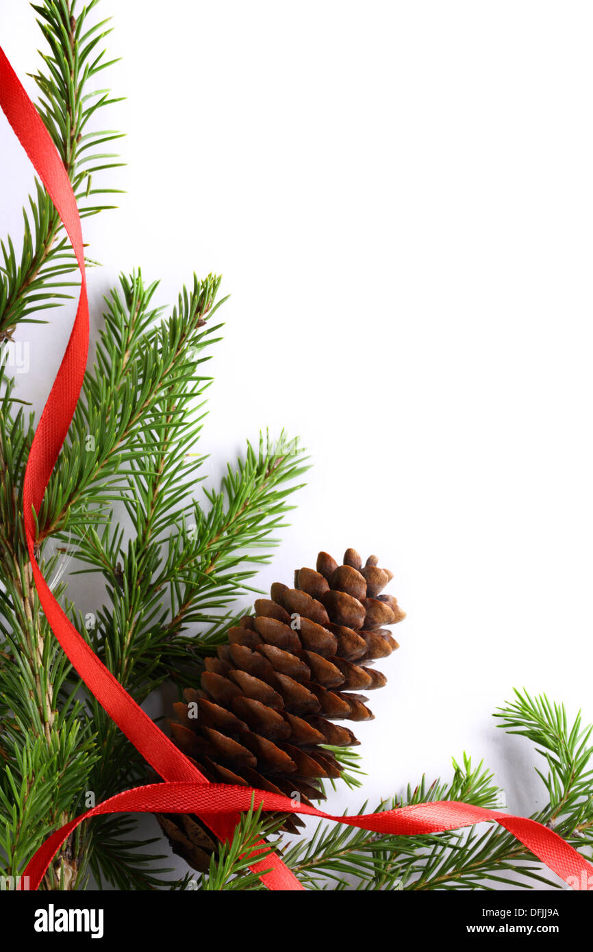 Sfondo con abete e cono Foto Stock