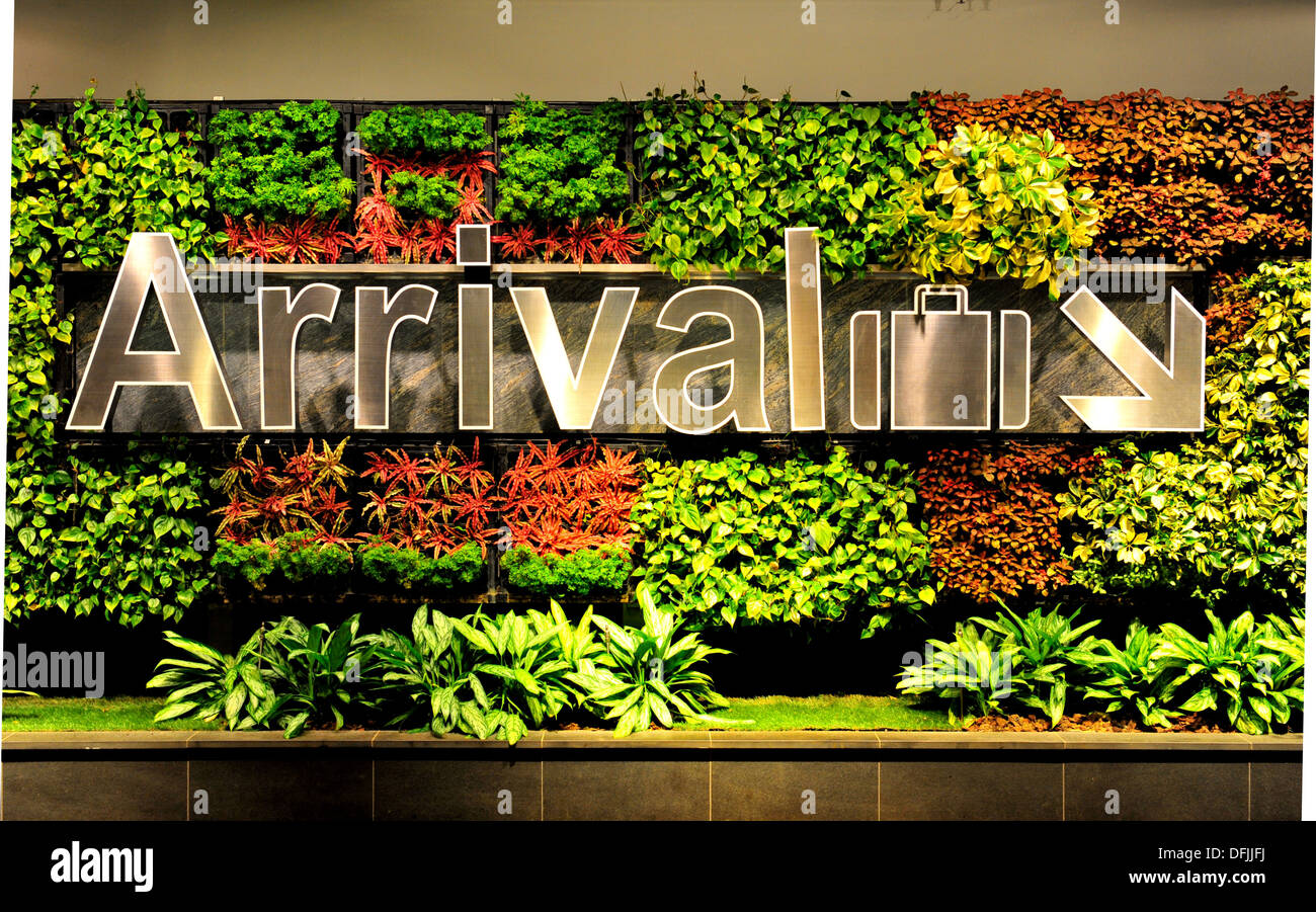 L'Aeroporto Internazionale di Singapore Changi - Giardino Verticale Foto Stock