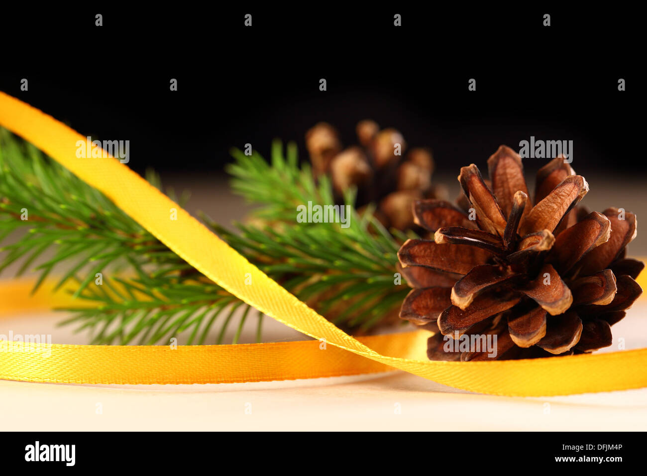 Rametto di abete sempre verde e il cono con nastro Foto Stock