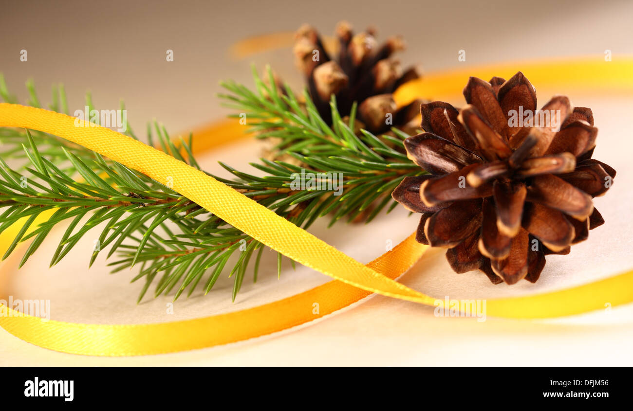 Rametto di abete sempre verde e il cono con nastro Foto Stock