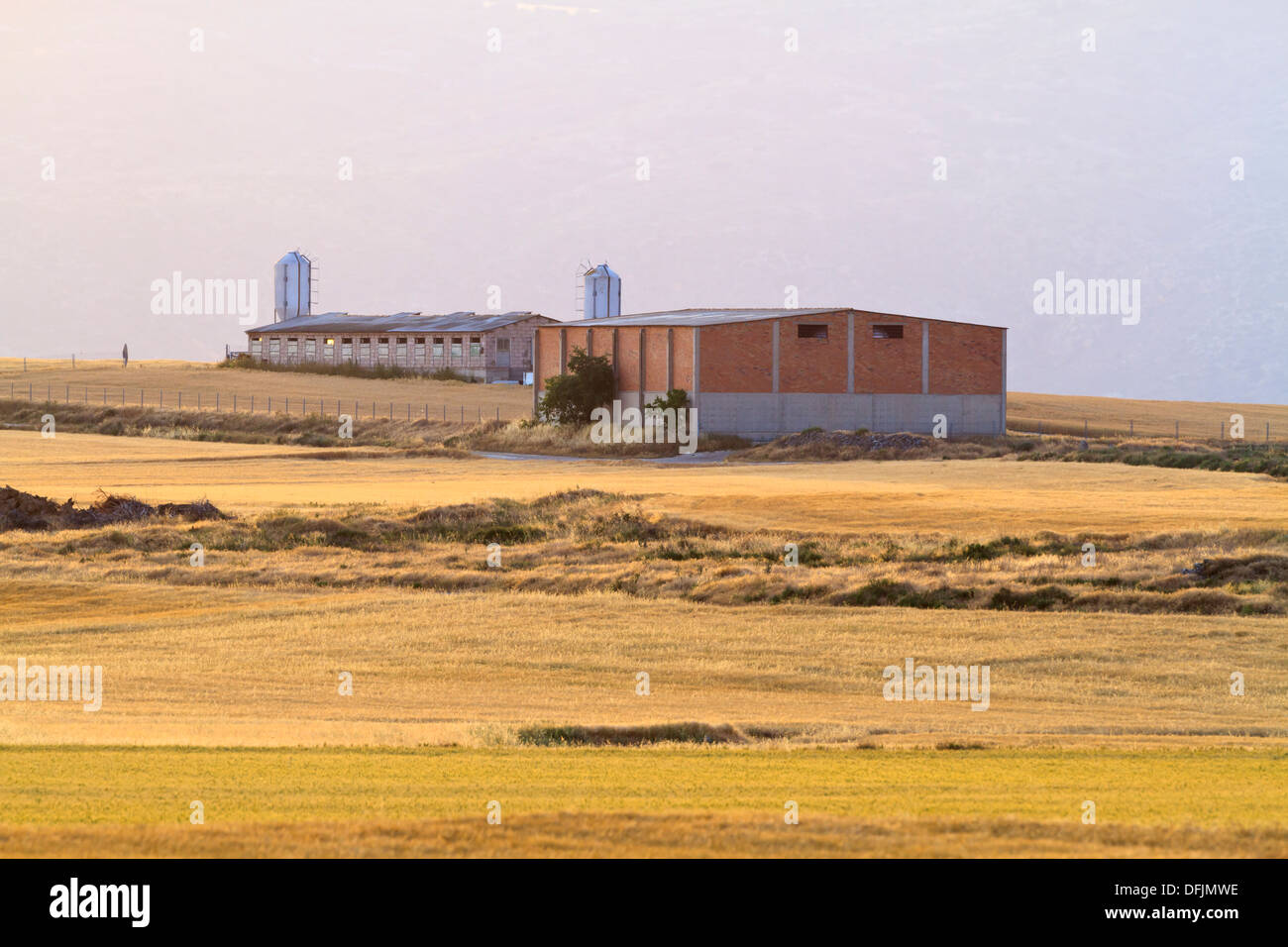 Azienda agricola e per i campi al tramonto. Lleida. La Catalogna. Spagna. Foto Stock