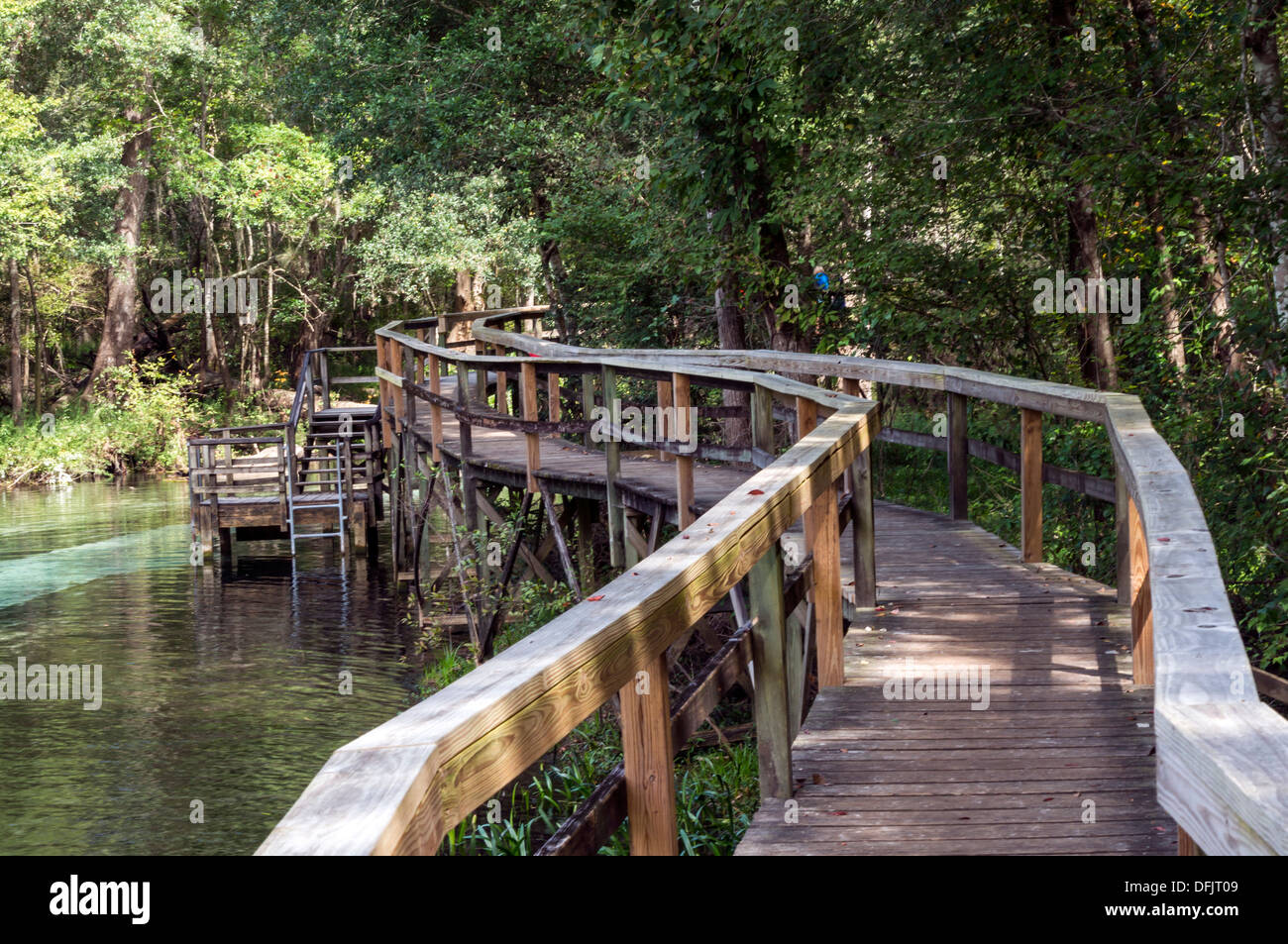 Passerella in legno lungo le molle blu Esegui nella parte inferiore di una foresta. Foto Stock