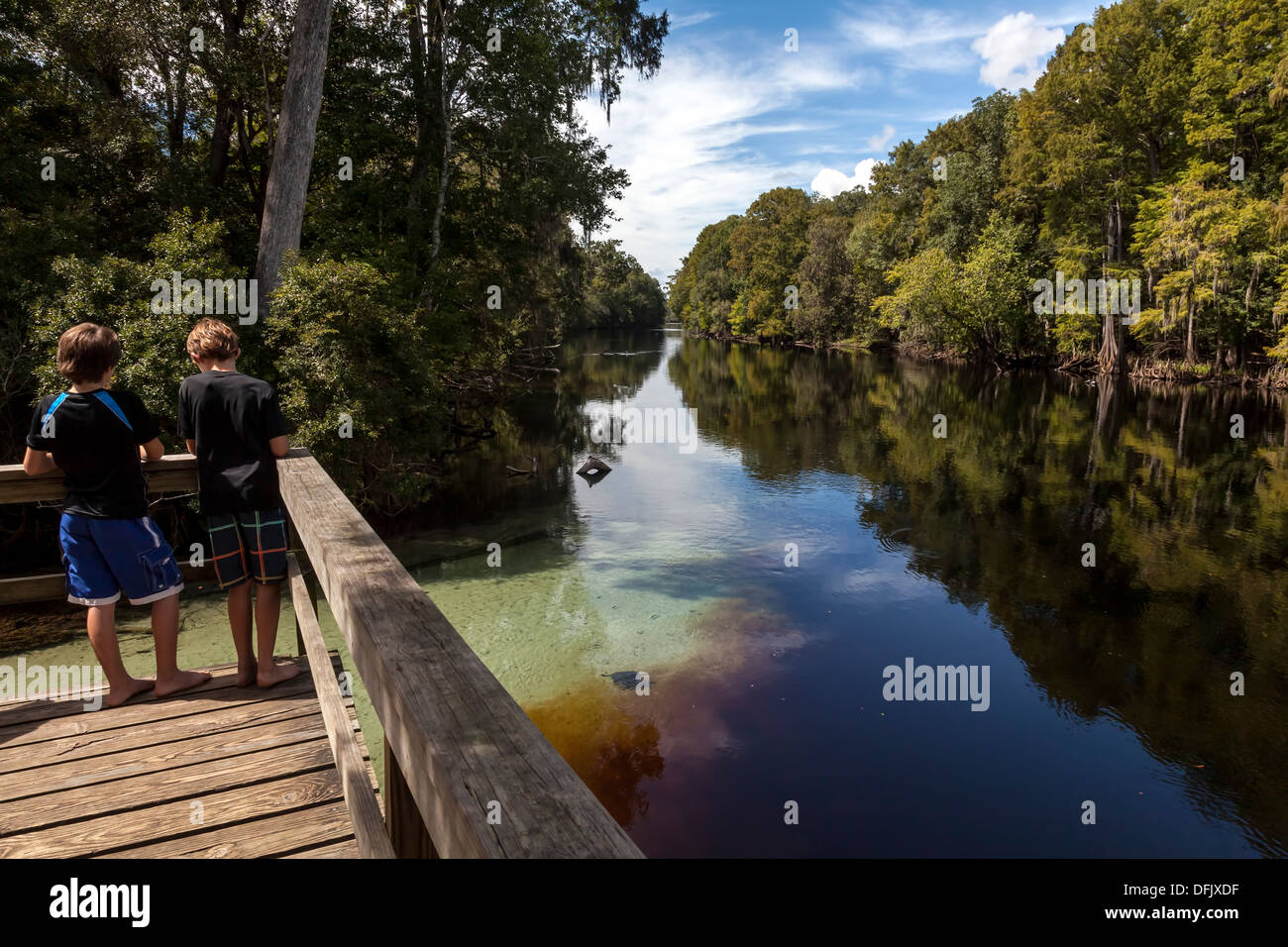 Due giovani ragazzi sul dock boardwalk guardando crystal clear spring acqua di entrare nella Santa Fe river annerito da tannini di root. Foto Stock