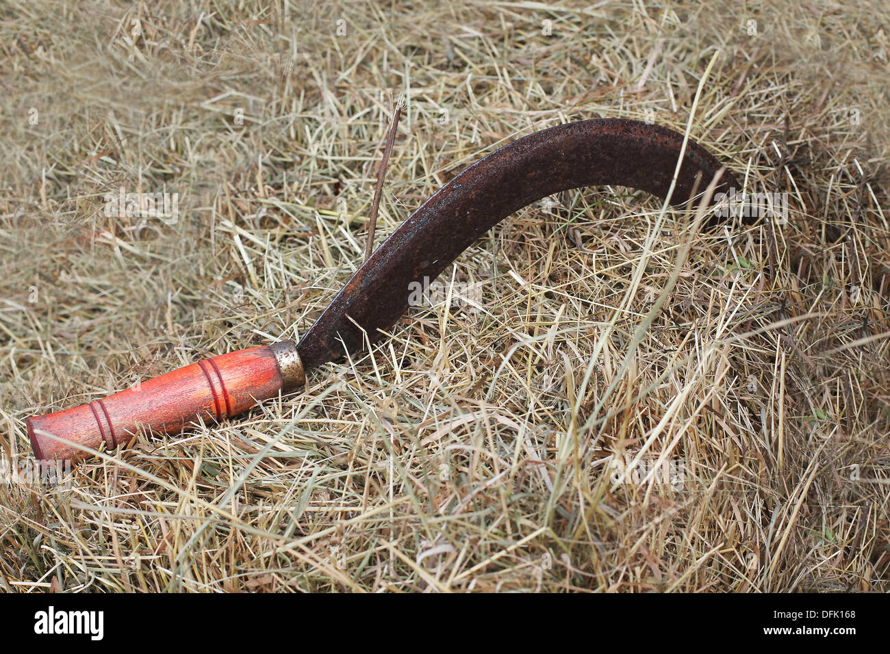 Vecchia falce fieno Foto Stock