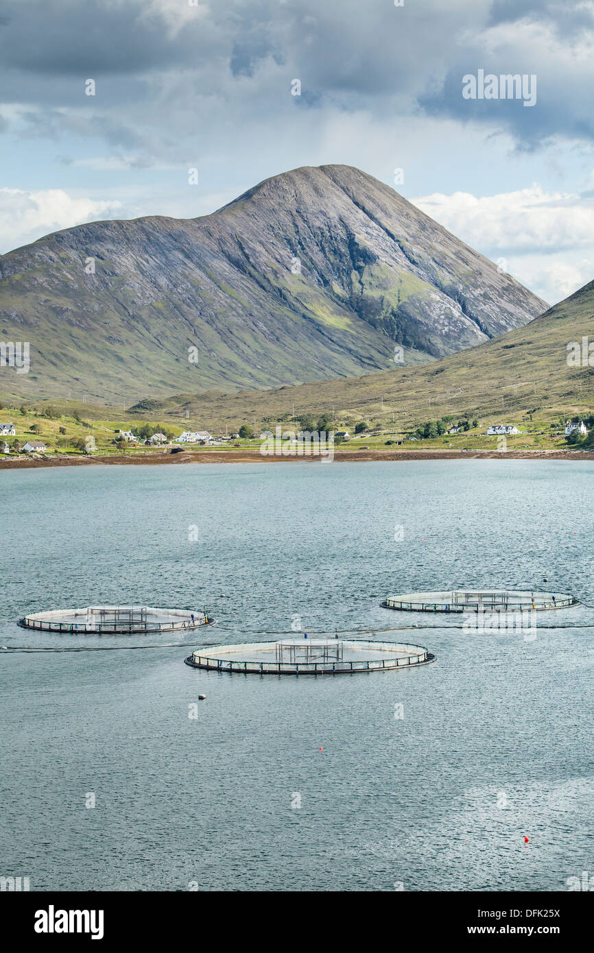 Allevamento di salmoni a Loch Ainort vicino a moll sull'Isola di Skye in Scozia. Foto Stock