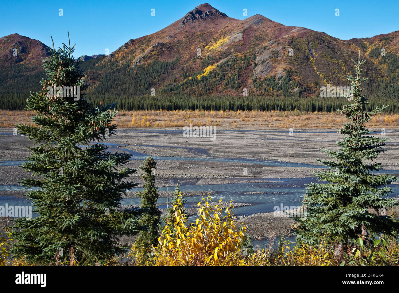 Parco Nazionale di Denali il fiume Teklanika in autunno Foto Stock