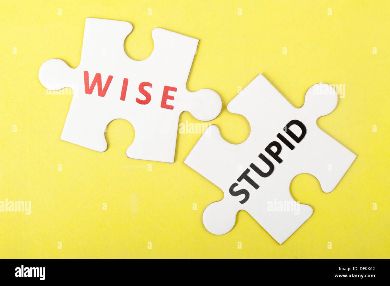 Saggio versus stupido concetto su due pezzi di puzzle Foto Stock