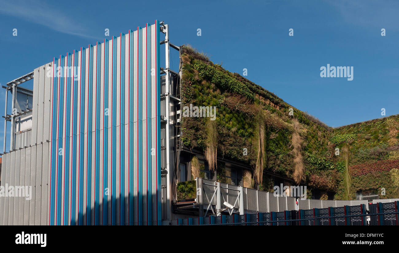 Verde verticale a parete di edificio di MTV in Camden Londra Nord Foto Stock