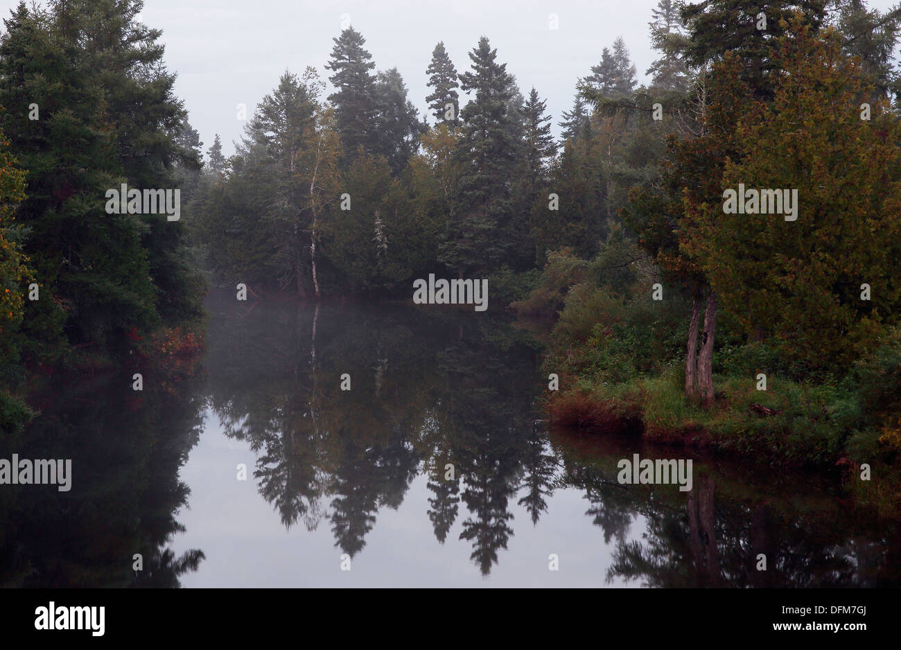 Gli alberi e la nebbia si riflette in un fiume calmo della penisola di Gaspé, Québec, Canada Foto Stock