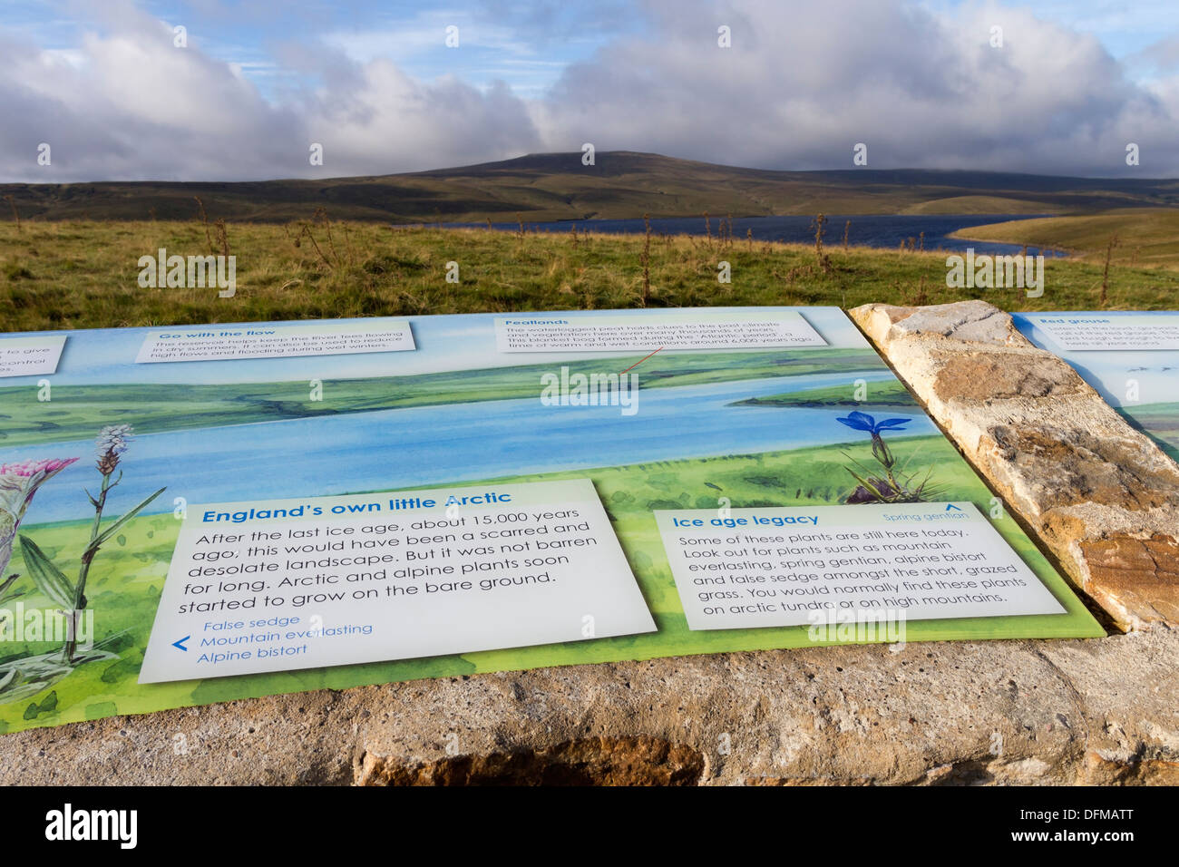 Pannelli informativi con Meldon Hill e la mucca Serbatoio verde in background North Pennines Teesdale County Durham Regno Unito Foto Stock