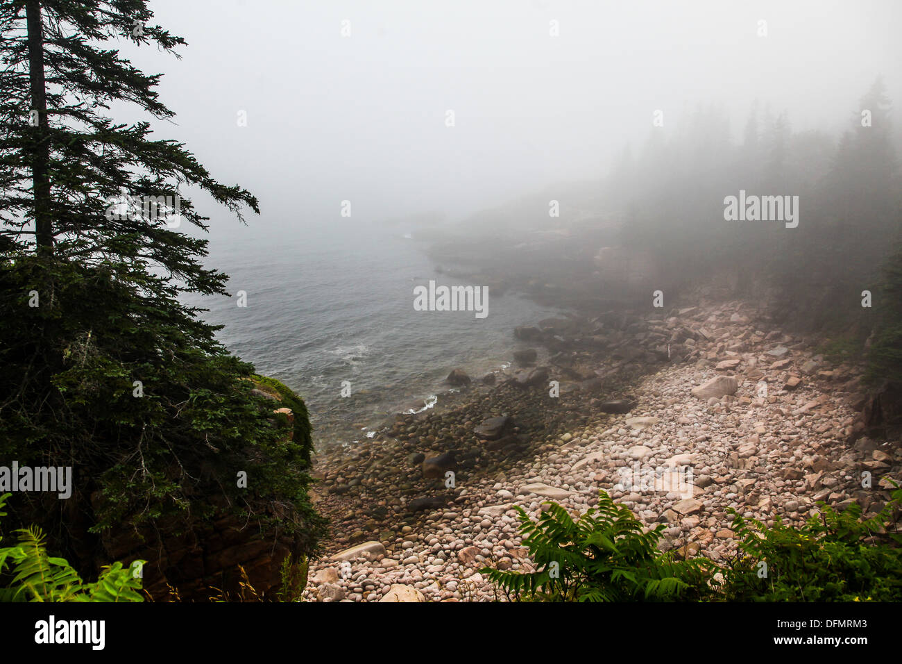 Giorno nebbiosi in Acadia NP, Maine Foto Stock