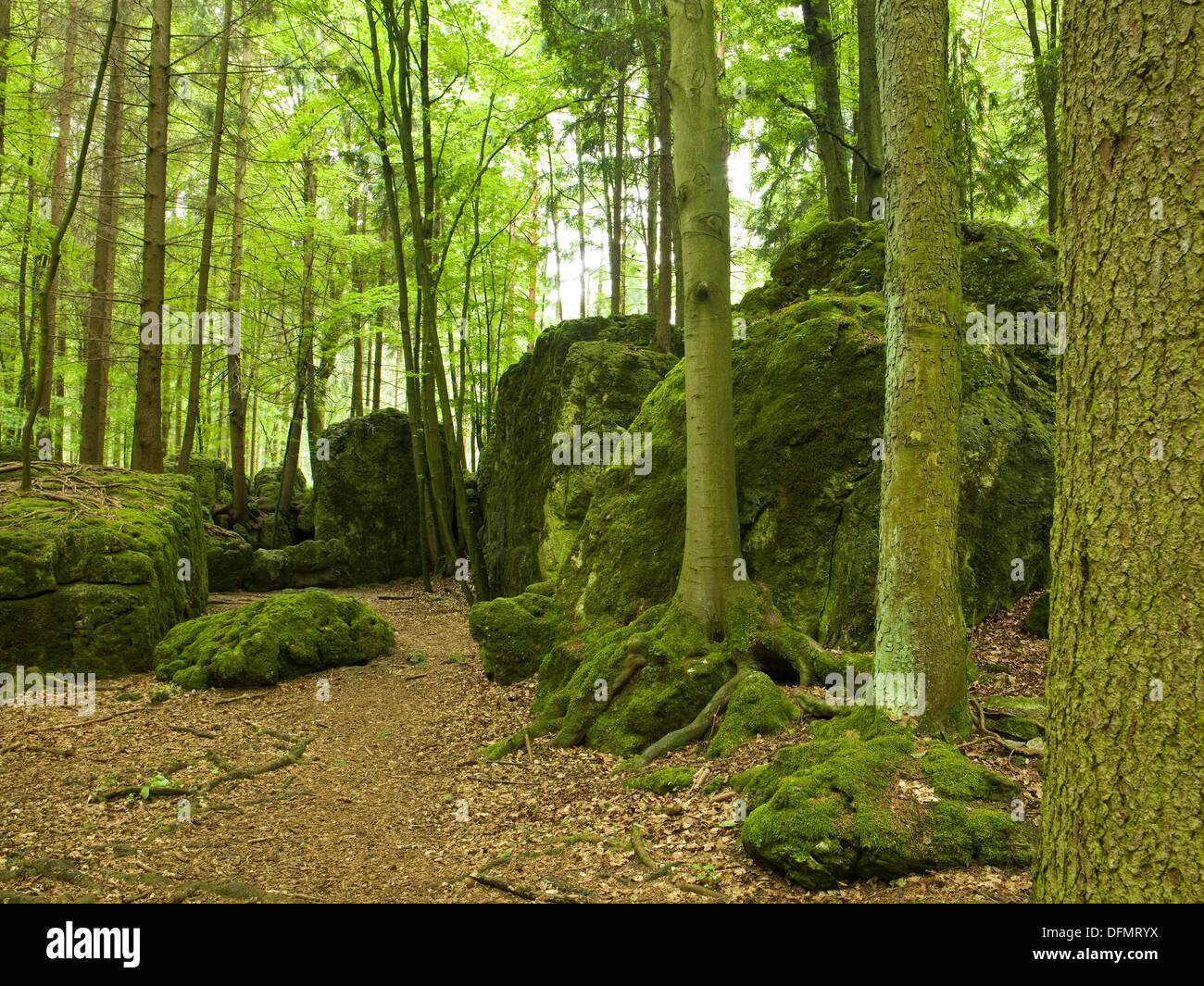 Druidenhain, piccola Svizzera, Alta Franconia, Baviera, Germania Foto Stock