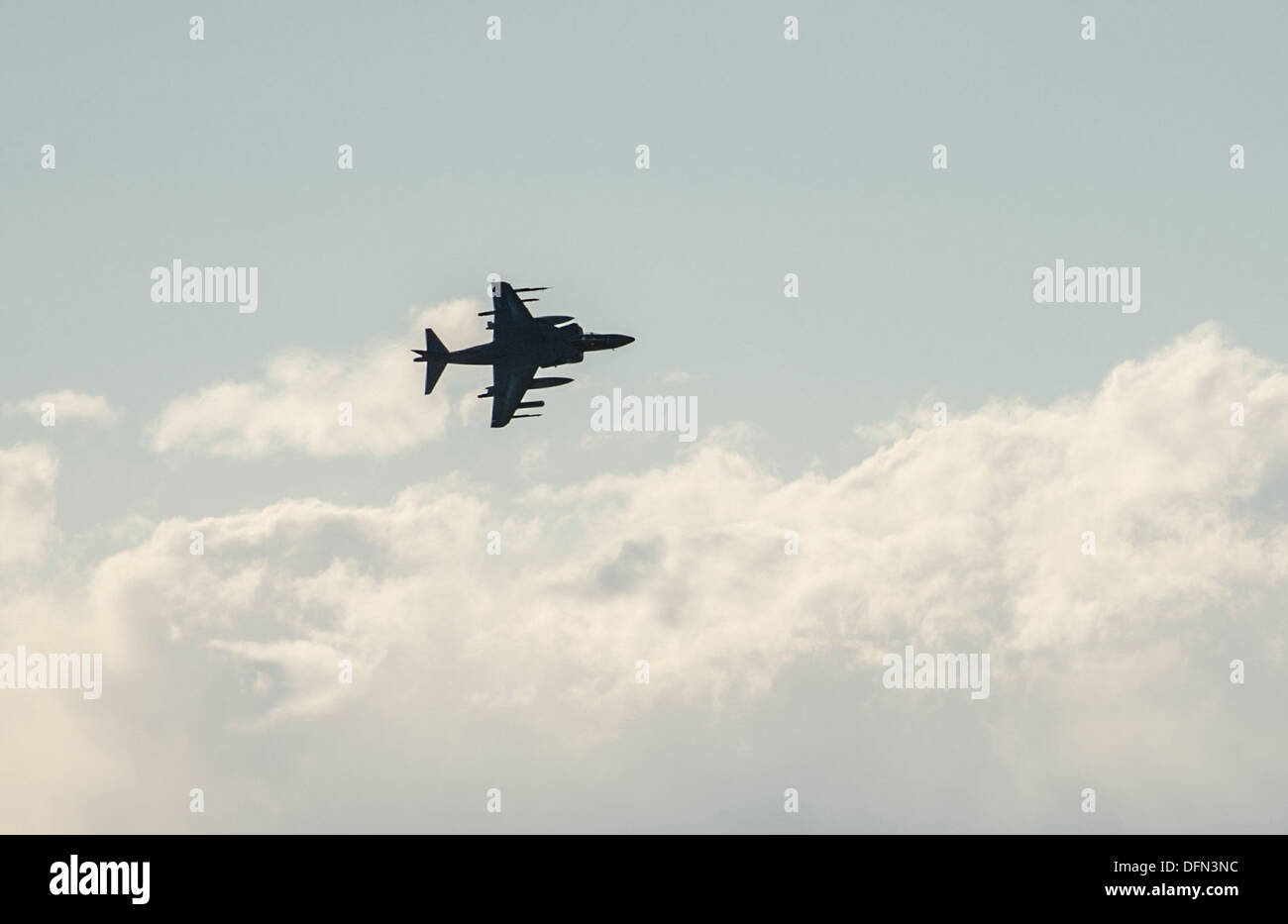 Un U.S. Navy AV8-B Harrier mormora simulato un nemico come una dimostrazione di forza prima di tornare e la caduta di una bomba simulato su target, Ottobre 2, 2013, durante l'esercizio Mountain Roundup 2013. Più di 300 tedeschi e canadesi, e un uguale numero di Stati Uniti Navy, Foto Stock Un U.S. Navy AV8-B Harrier mormora simulato un nemico come una dimostrazione di forza prima di tornare e la caduta di una bomba simulato su target, Ottobre 2, 2013, durante l'esercizio Mountain Roundup 2013. Più di 300 tedeschi e canadesi, e un uguale numero di Stati Uniti Navy, Foto Stock