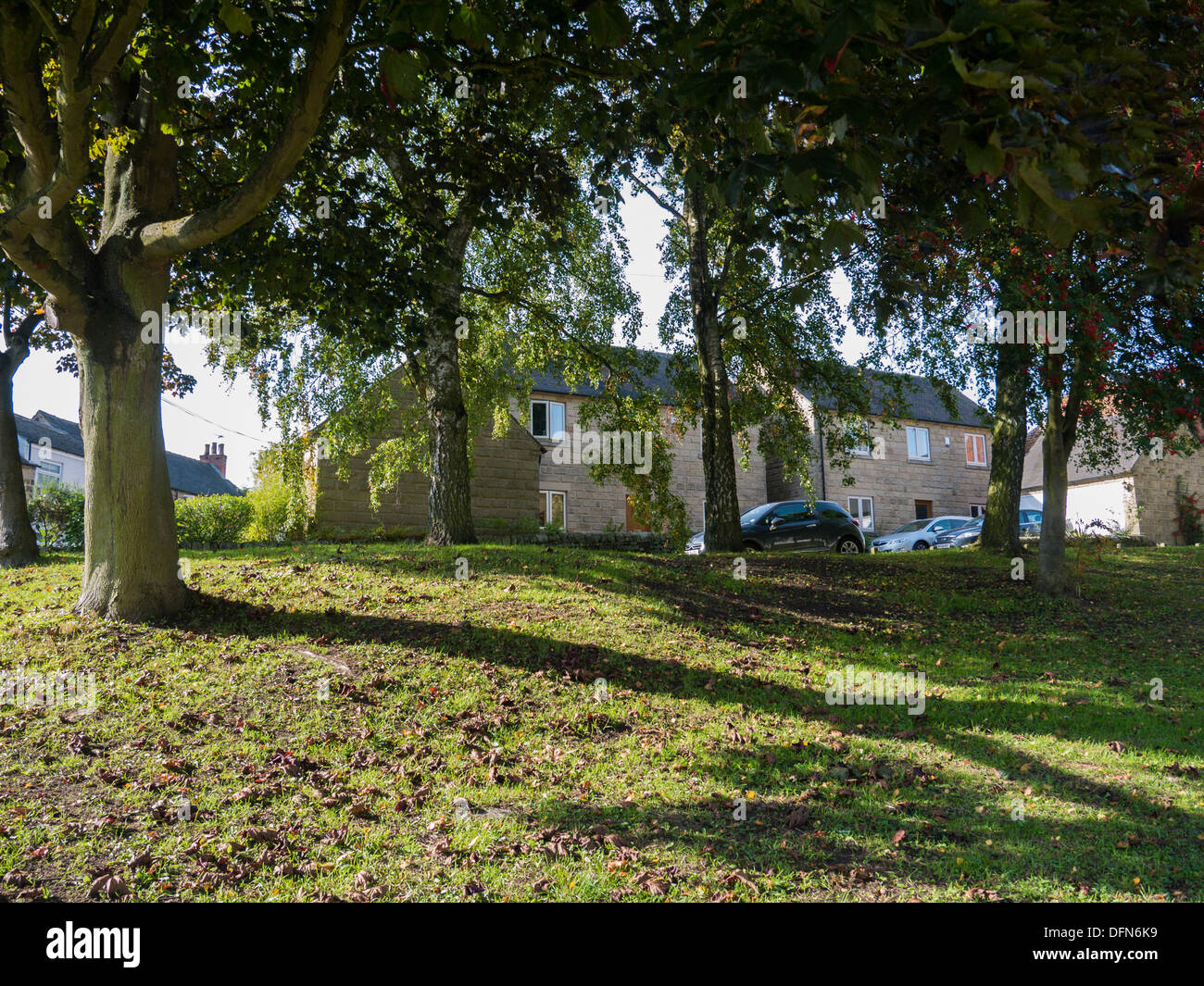 Alberi su un villaggio verde in Holbrook vicino a Belper Derbyshire, Regno Unito, Gran Bretagna. Foto Stock