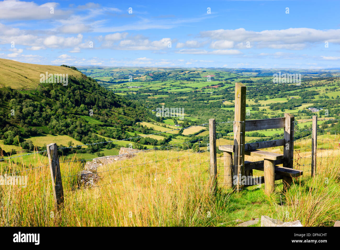 Senni Valley vicino a Sennybridge Brecon Beacons Powys Galles Foto Stock