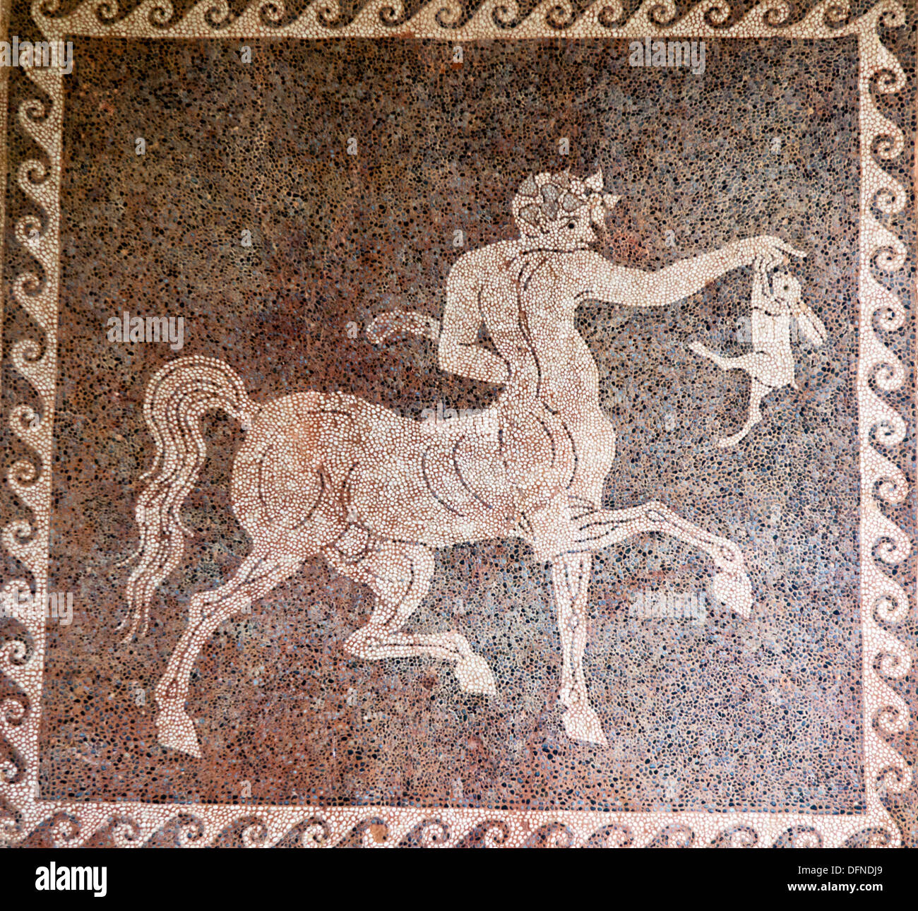 Mosaico Museo Archeologico di Rodi isole Greche - Grecia Foto Stock