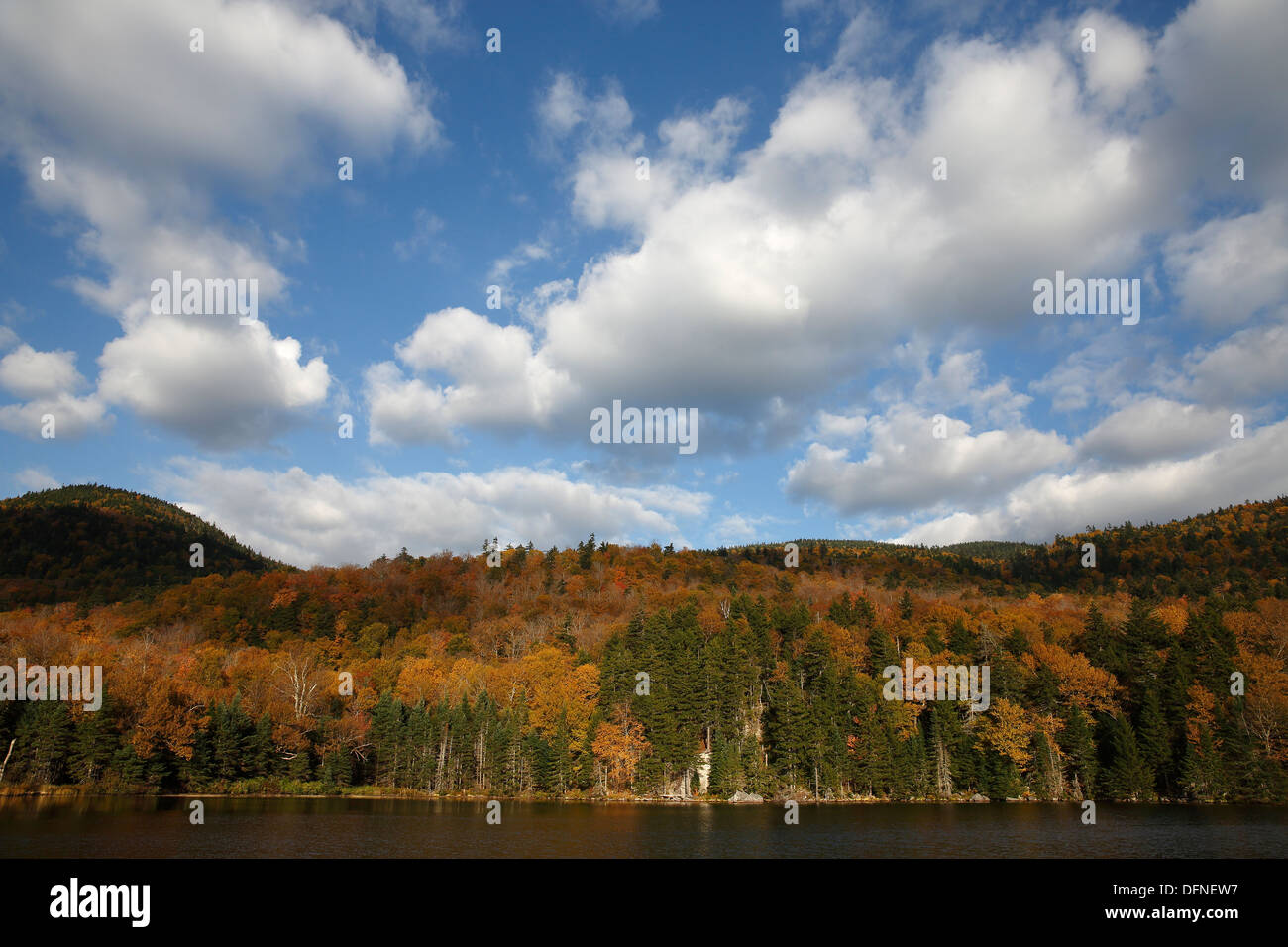 Caduta delle Foglie si riflette sulla superficie del lago Saco a Crawford tacca, New Hampshire, STATI UNITI D'AMERICA Foto Stock