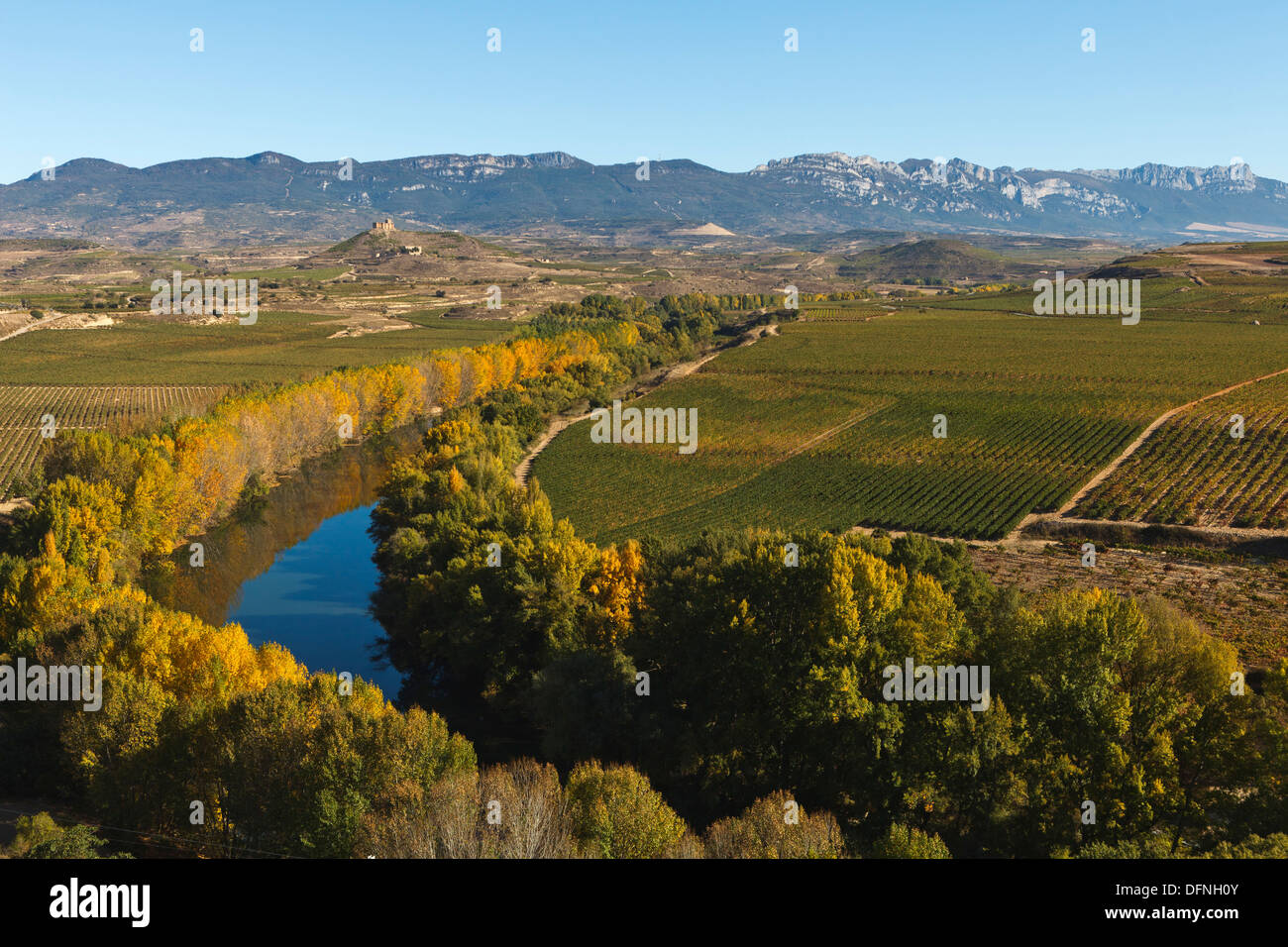 Rio Ebro, il fiume Ebro, vigneti, vicino a Haro, autunno, La Rioja, Spagna settentrionale, Spagna, Europa Foto Stock