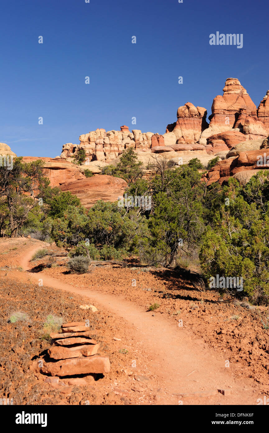 Sentiero verso guglie di roccia in Chesler Park, aghi Area, il Parco Nazionale di Canyonlands, Moab, Utah, Southwest USA, America Foto Stock