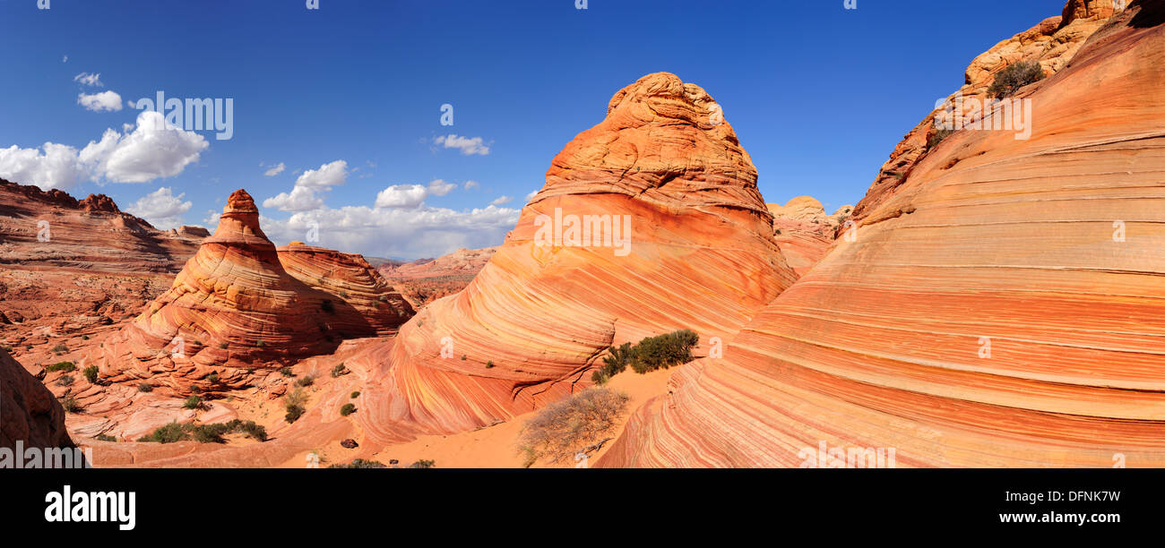 Panorama di pietra arenaria rossa coni, Coyote Buttes, Paria Canyon, Vermiglio scogliere monumento nazionale, Arizona, Southwest USA, Ameri Foto Stock