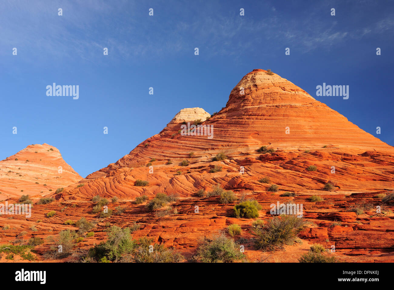 Pietra arenaria rossa coni, Coyote Buttes, Paria Canyon, Vermiglio scogliere monumento nazionale, Arizona, Southwest USA, America Foto Stock