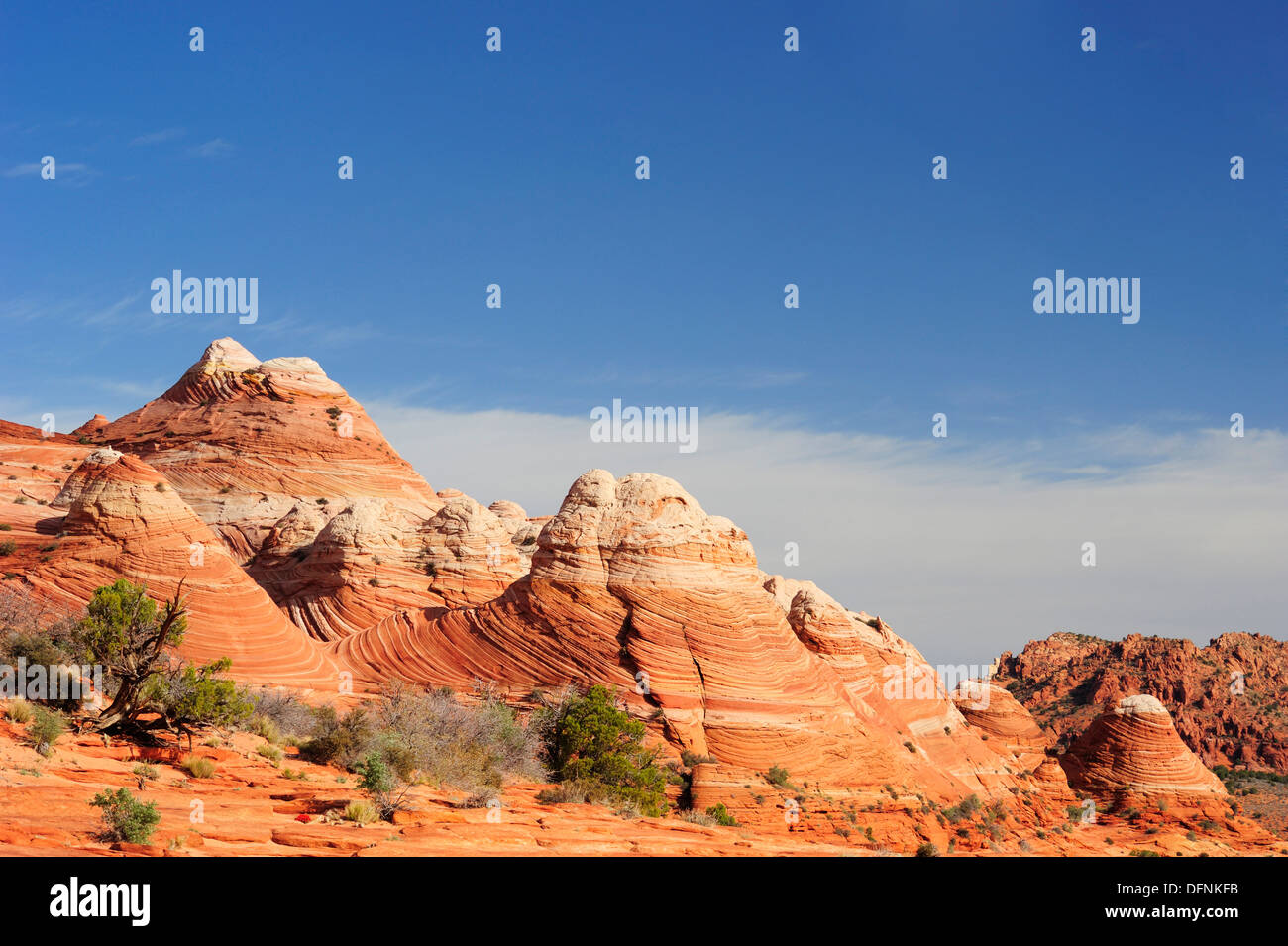 Pietra arenaria rossa coni, Coyote Buttes, Paria Canyon, Vermiglio scogliere monumento nazionale, Arizona, Southwest USA, America Foto Stock