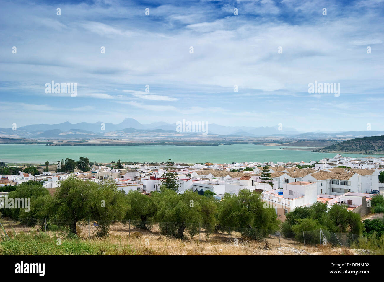Lago artificiale sotto il cielo velato, Arcos de la Frontera, Andalusia, Spagna, Europa Foto Stock
