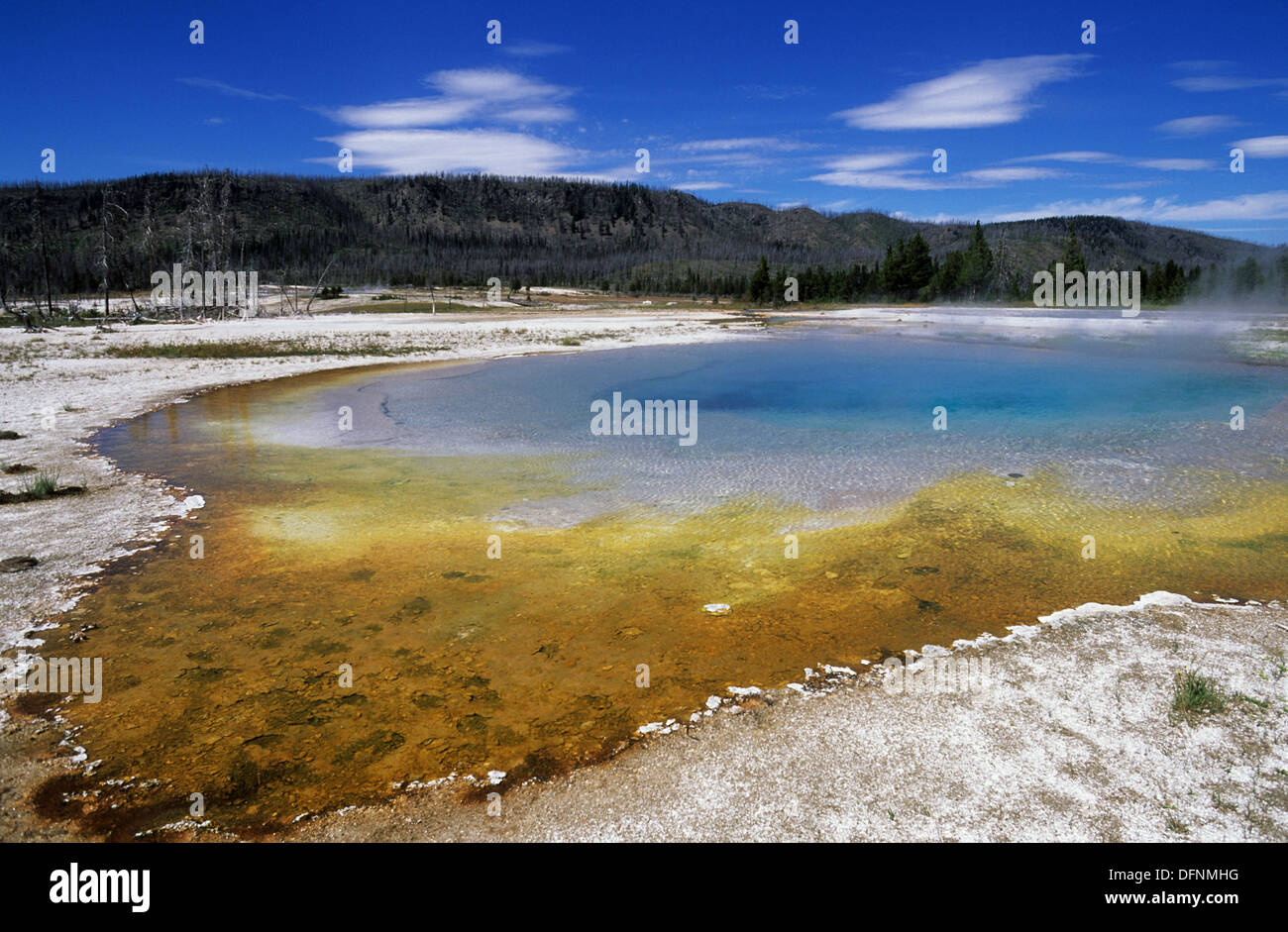 Elk265-1554 Wyoming, il Parco Nazionale di Yellowstone, Bacino di biscotto, piscina a specchio Foto Stock