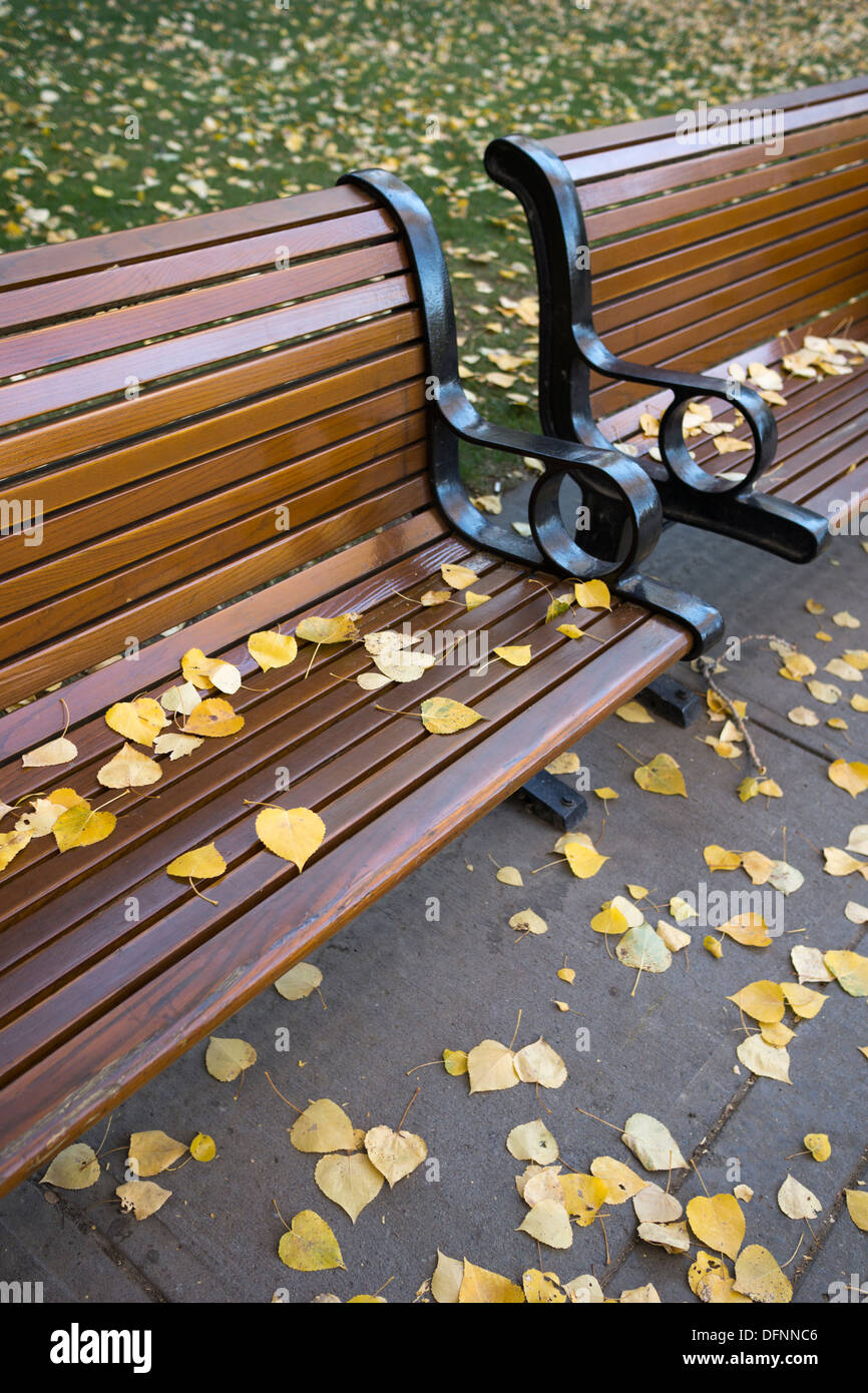 Foglie di autunno su una panchina nel parco Foto Stock