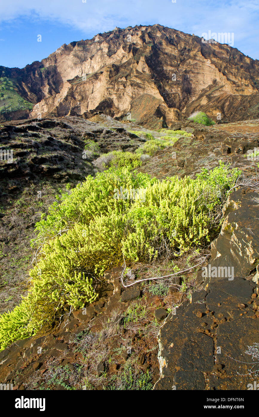 Punta Pitt, su San Cristobal Island, Isole Galapagos Foto Stock