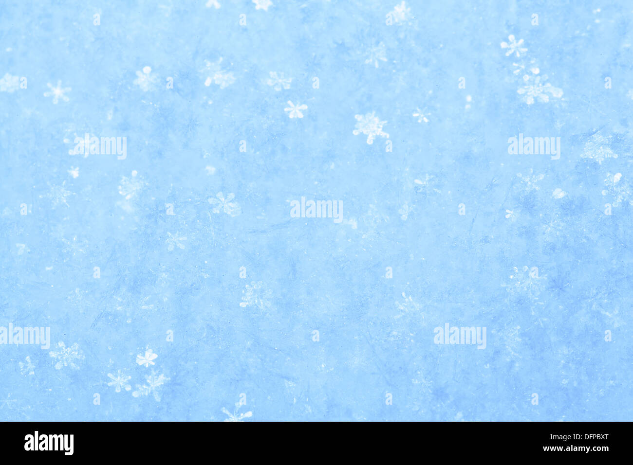 Blu neve scintillante sfondo bianco con piccoli fiocchi di neve. Foto Stock