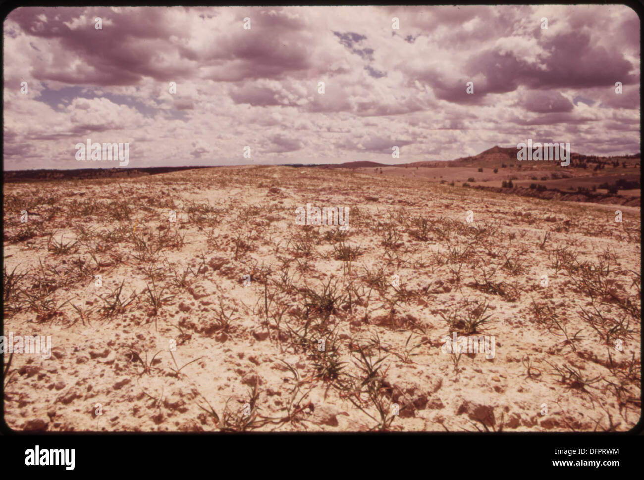 Gli sforzi per recuperare i terreni minati in strisce vicino a Colstrip comprendono l'appiattimento di vecchie riserve e la piantagione di vegetazione per ripristinare il paesaggio e combattere le sfide poste dal clima secco. Foto Stock