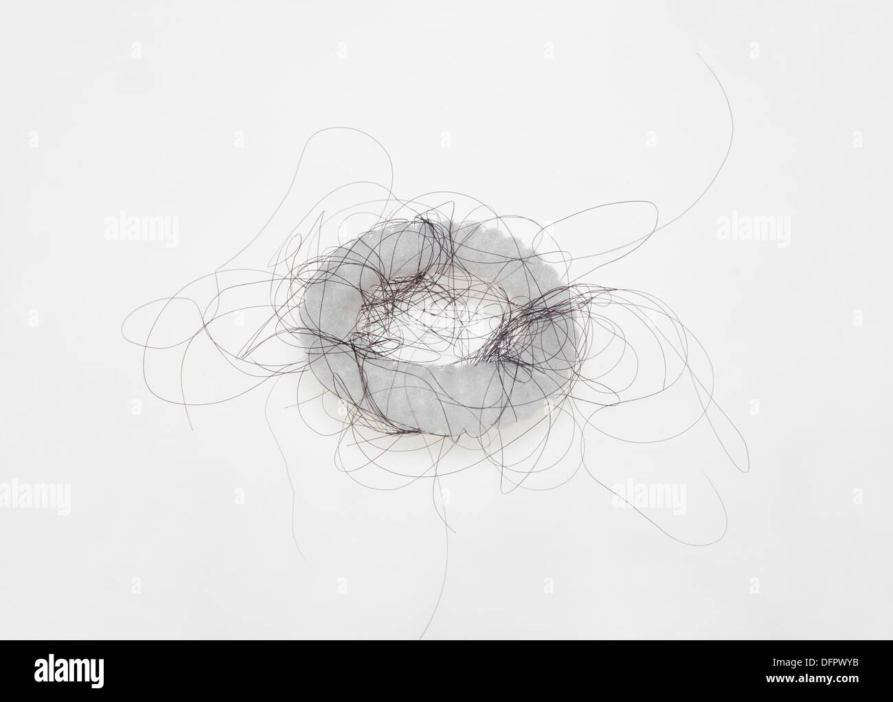 L'archetto elastico con la perdita dei capelli Foto Stock