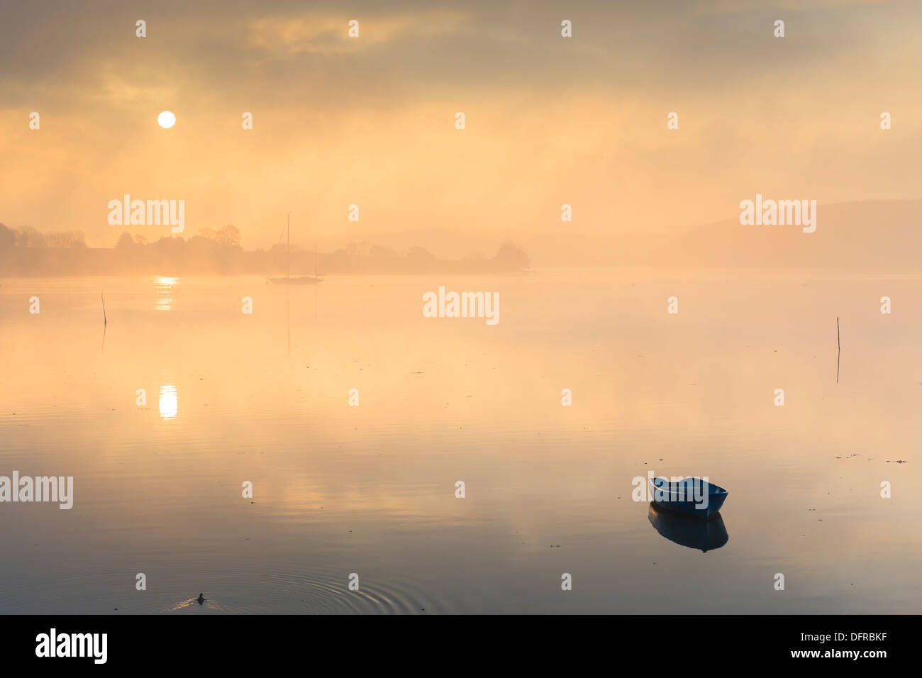 Foschia mattutina a mendicanti raggiunge il fiume Daugleddau Llangwm Pembrokeshire nel Galles a sunrise Foto Stock