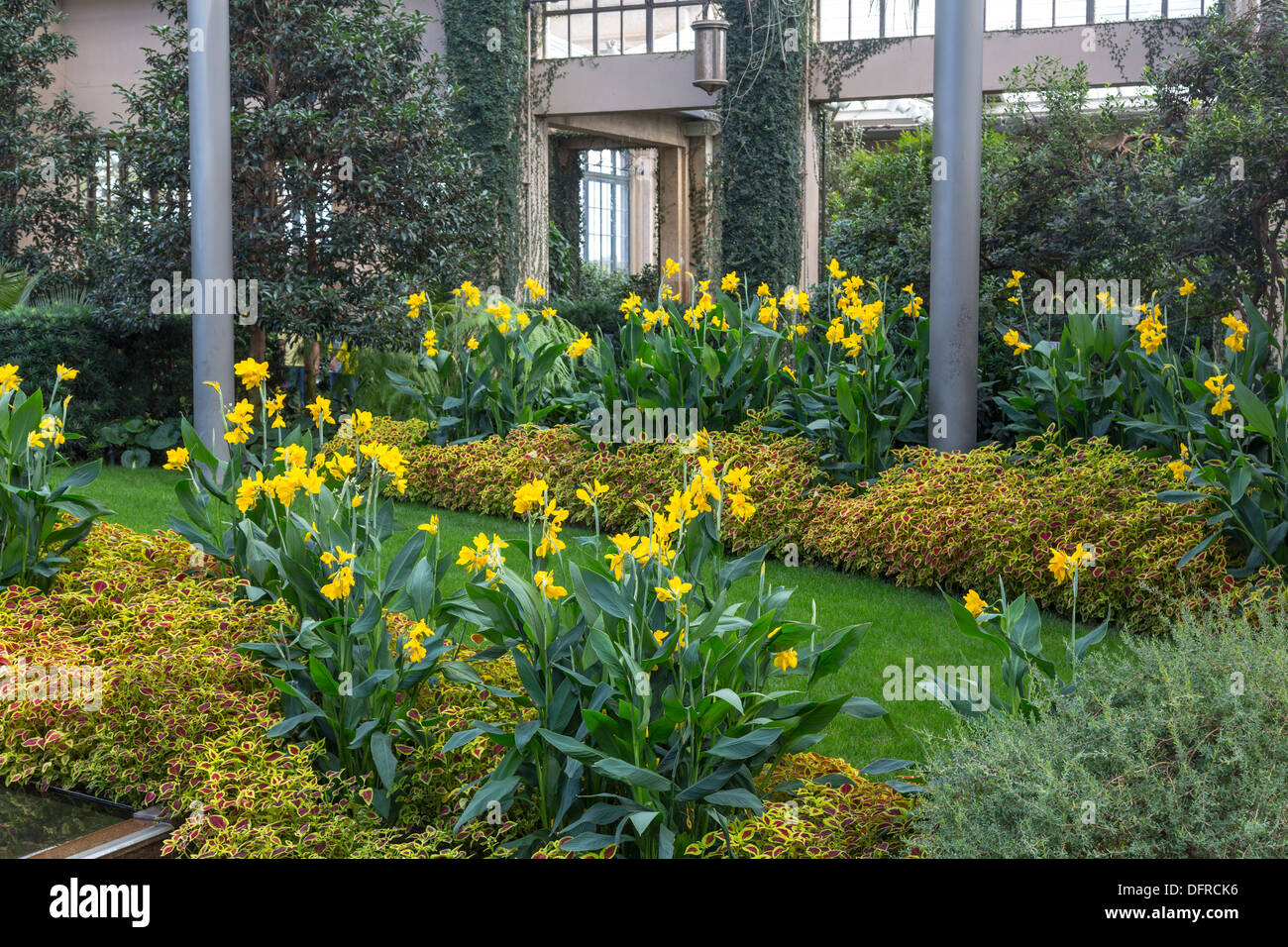 Conservatorio, Longwood Gardens, Kennett Square, Pennsylvania, STATI UNITI D'AMERICA Foto Stock